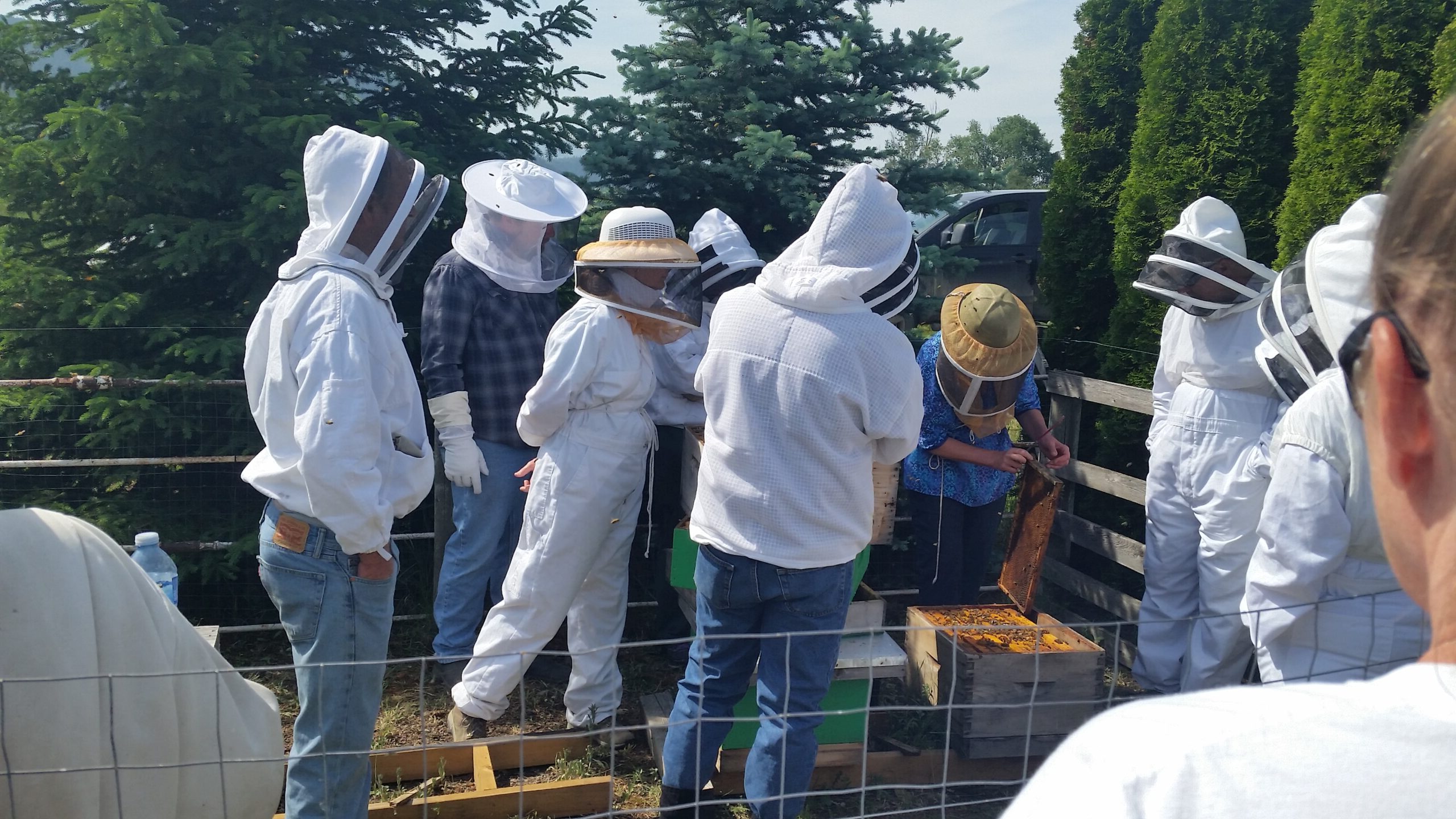 KBC 2020 AGM (Jan '21) Nomiation Report Kamloops Beekeepers