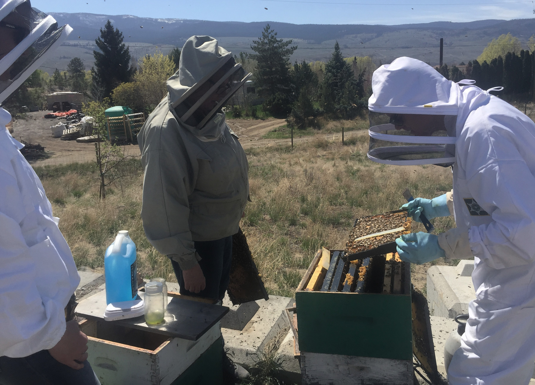 Members Area Kamloops Beekeepers