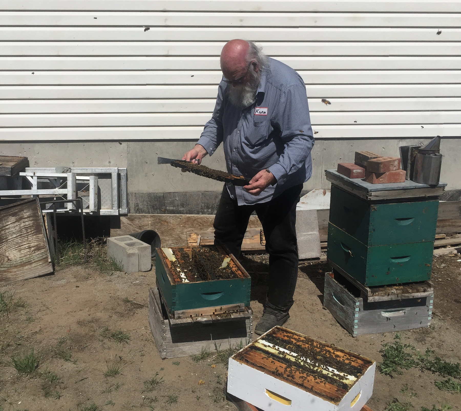 April 29th Field Day Success! Kamloops Beekeepers