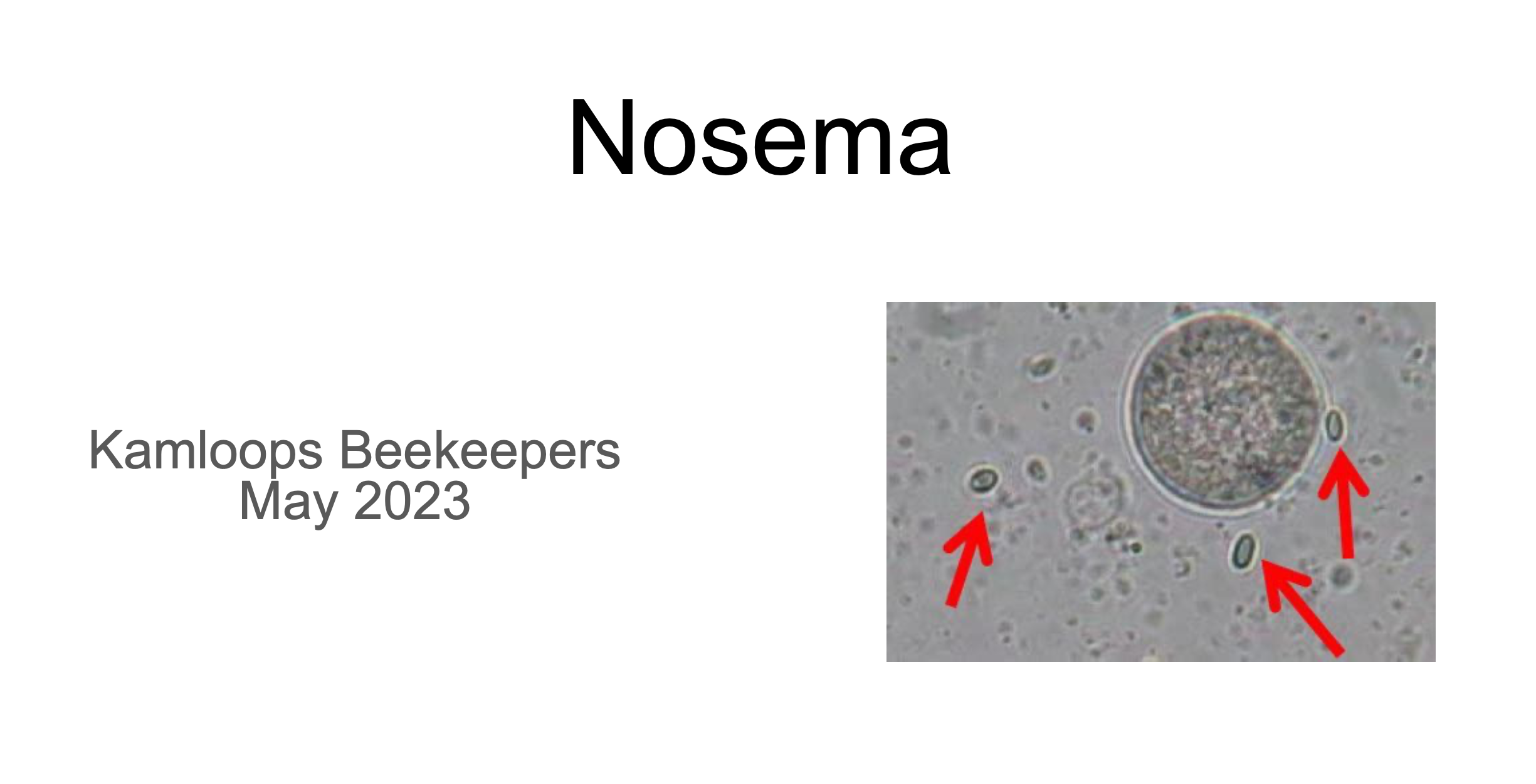 General Meeting, Tuesday May 16th! Kamloops Beekeepers