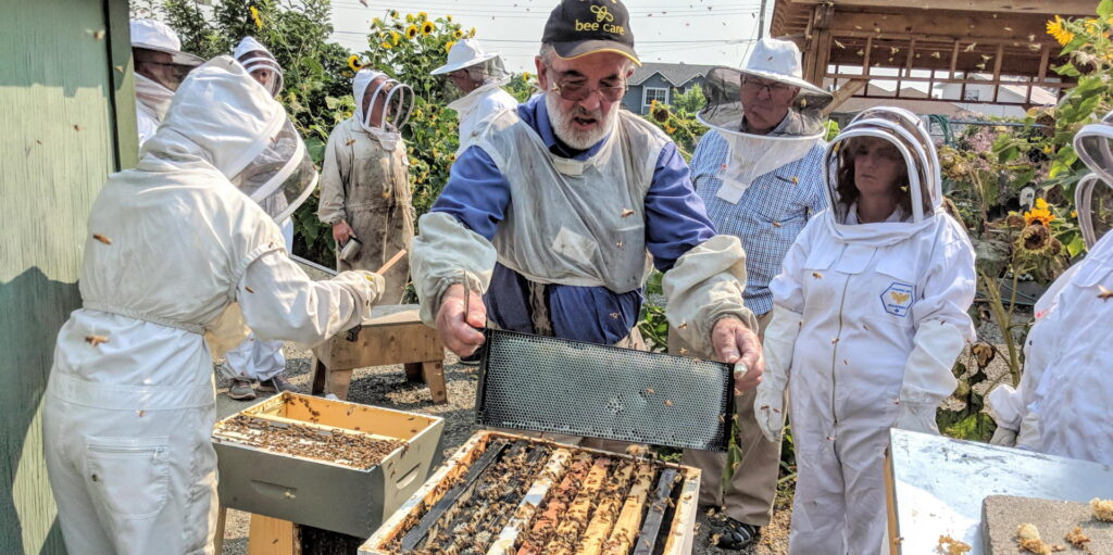 Beekeeping Field Day Demonstrations